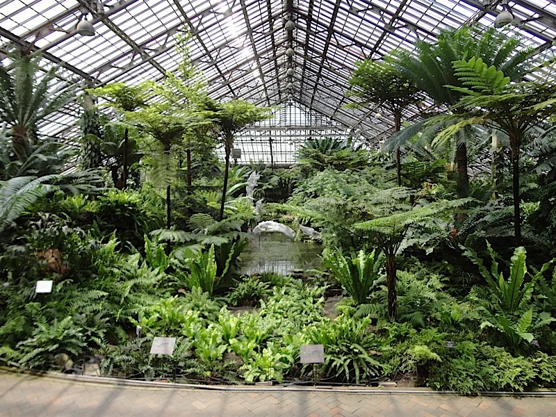 Fern Room pond installation B